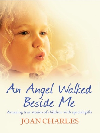 An Angel Walked Beside Me: Amazing stories of children who touch the other side. Joan  Charles