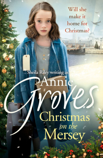 Annie Groves. Christmas on the Mersey