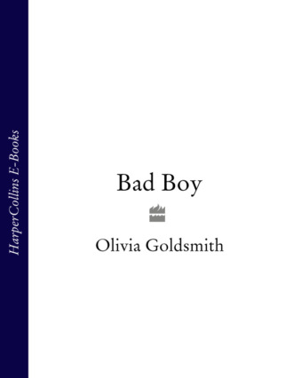 Olivia  Goldsmith. Bad Boy