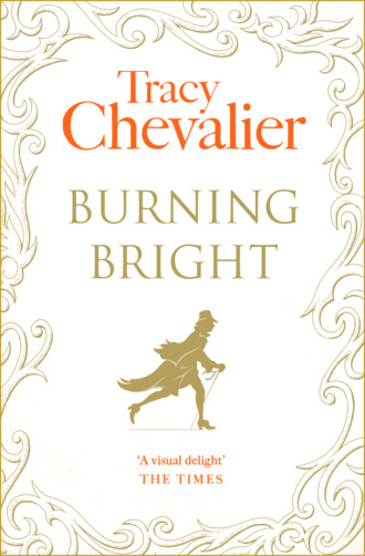 Tracy  Chevalier. Burning Bright