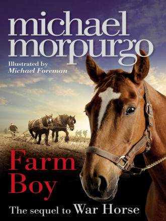 Michael  Morpurgo. Farm Boy