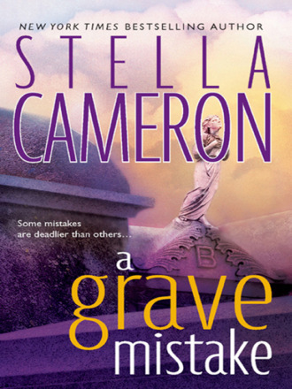 Stella  Cameron. A Grave Mistake