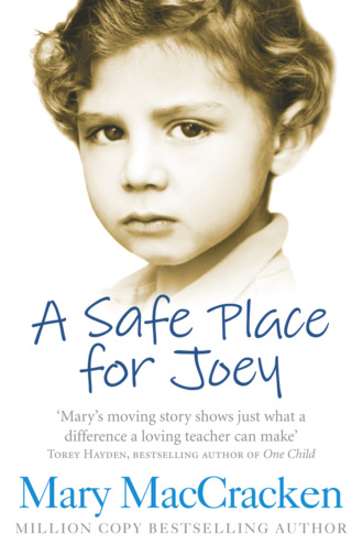 Mary  MacCracken. A Safe Place for Joey