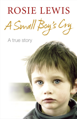 Rosie  Lewis. A Small Boy’s Cry