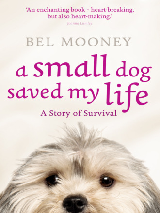 Bel  Mooney. A Small Dog Saved My Life