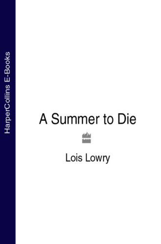 Lois  Lowry. A Summer to Die