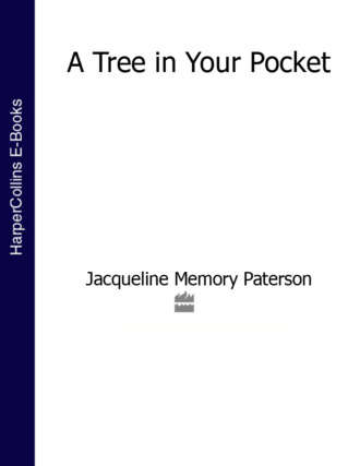 Jacqueline Paterson Memory. A Tree in Your Pocket