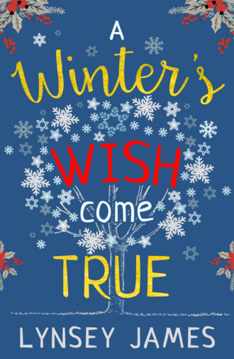Lynsey  James. A Winter’s Wish Come True