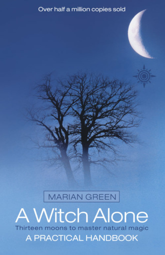 Marian  Green. A Witch Alone: Thirteen moons to master natural magic