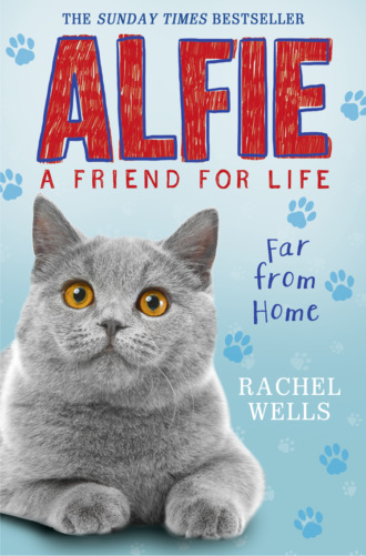 Rachel  Wells. Alfie Far From Home