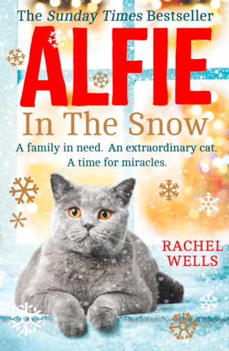 Rachel  Wells. Alfie in the Snow