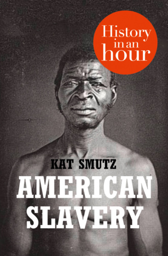 Kat  Smutz. American Slavery: History in an Hour