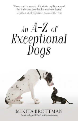 Mikita  Brottman. An A–Z of Exceptional Dogs