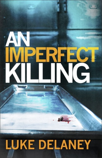 Luke  Delaney. An Imperfect Killing