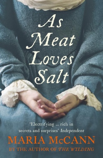 Maria  McCann. As Meat Loves Salt