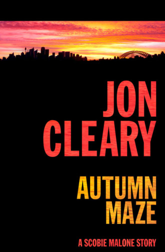 Jon  Cleary. Autumn Maze