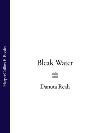 Danuta  Reah. Bleak Water