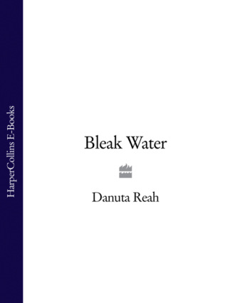 Bleak Water. Danuta  Reah