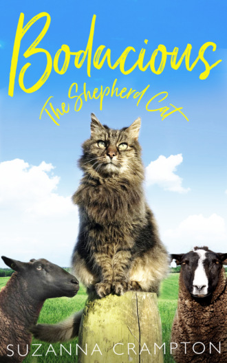 Suzanna  Crampton. Bodacious: The Shepherd Cat
