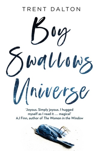 Boy Swallows Universe. Trent Dalton