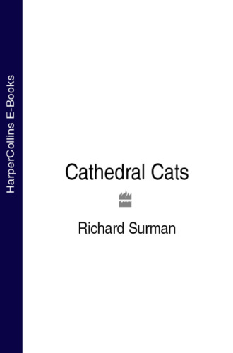 Richard  Surman. Cathedral Cats