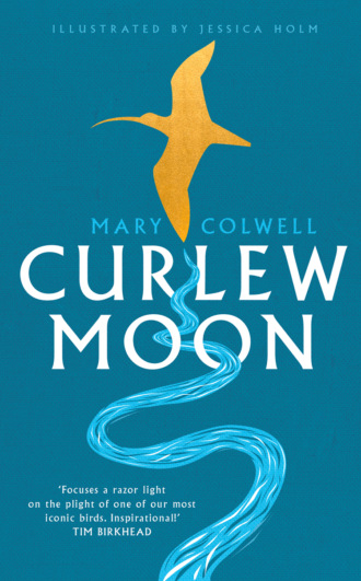 Mary  Colwell. Curlew Moon