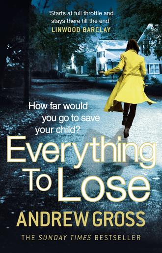 Andrew  Gross. Everything to Lose