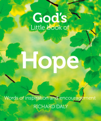 Richard  Daly. God’s Little Book of Hope