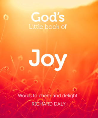 Richard  Daly. God’s Little Book of Joy
