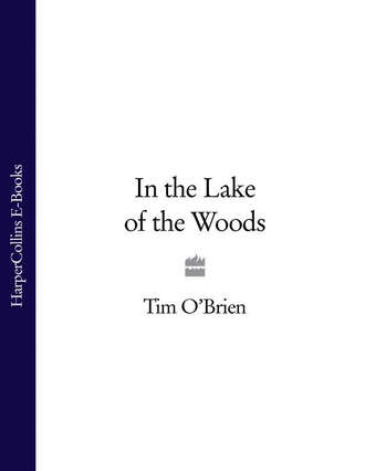 Tim O’Brien. In the Lake of the Woods