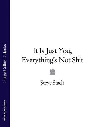 Steve Stack. It Is Just You, Everything’s Not Shit