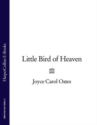Joyce Carol Oates. Little Bird of Heaven