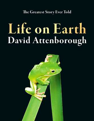 David Attenborough. Life on Earth