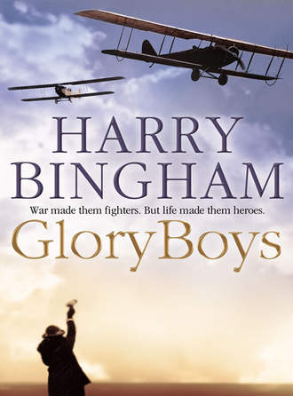 Harry  Bingham. Glory Boys