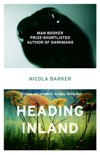 Nicola  Barker. Heading Inland