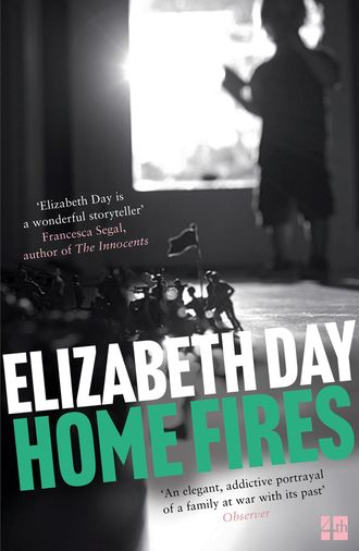 Elizabeth  Day. Home Fires