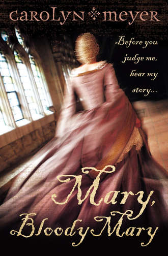 Carolyn  Meyer. Mary, Bloody Mary