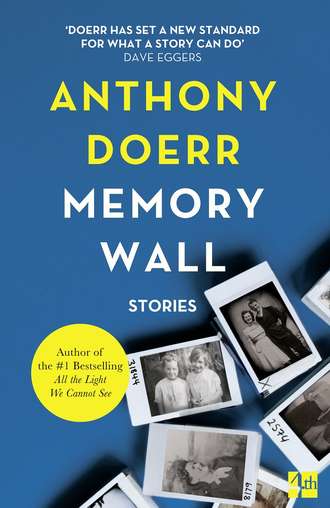 Anthony  Doerr. Memory Wall