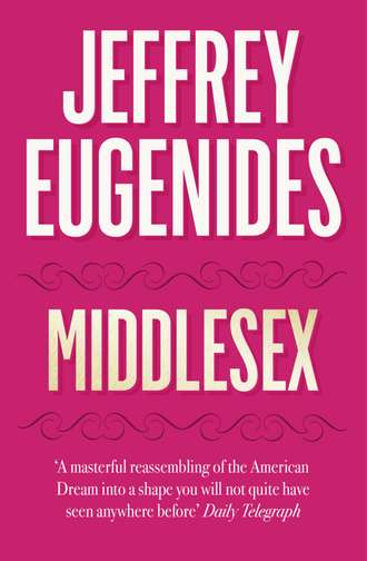 Jeffrey Eugenides. Middlesex