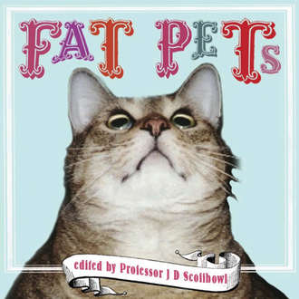 Professor J. D. Scoffbowl. Fat Pets