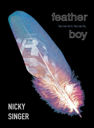 Nicky  Singer. Feather Boy