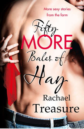 Rachael Treasure. Fifty More Bales of Hay