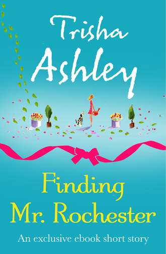 Trisha  Ashley. Finding Mr Rochester