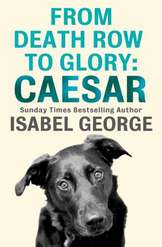 Isabel  George. From Death Row To Glory: Caesar