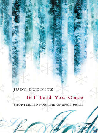 Judy  Budnitz. If I Told You Once