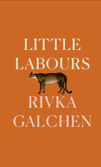 Ривка Голчен. Little Labours