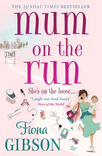 Fiona  Gibson. Mum On The Run