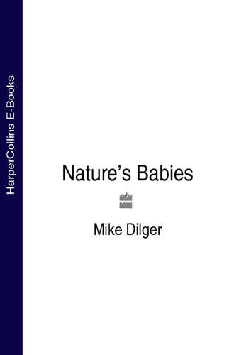 Mike  Dilger. Nature’s Babies