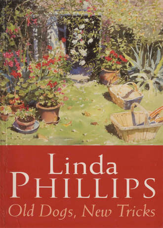 Linda Phillips. Old Dogs, New Tricks