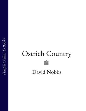 David  Nobbs. Ostrich Country
